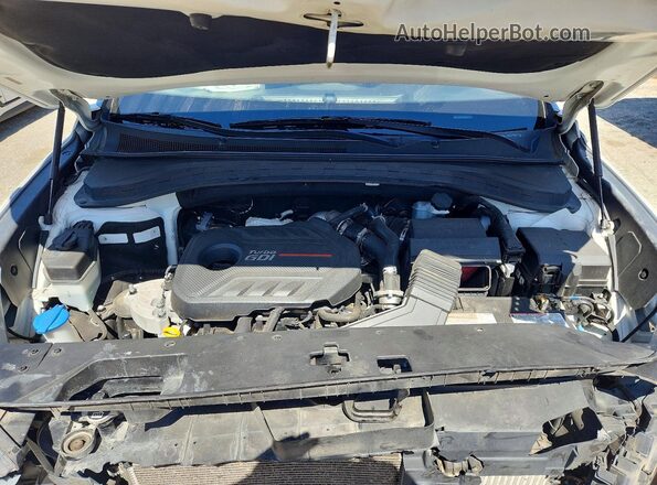 5NMS33AA3LH144316 2020 HYUNDAI SANTA White Շարժիչի բաժամունքի տեսք