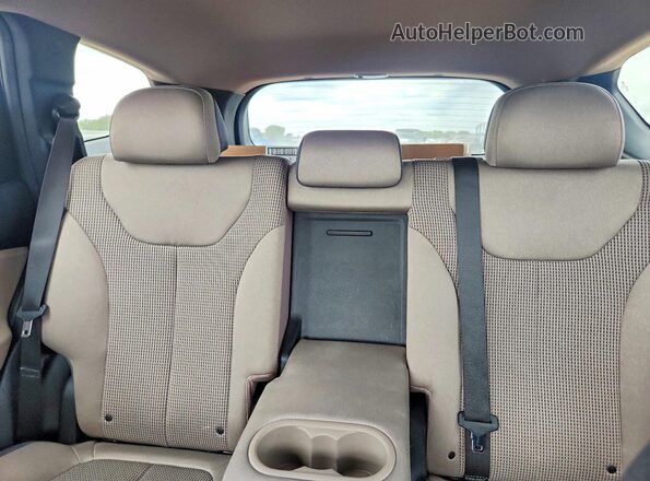 5NMS33AD0KH067154 2019 HYUNDAI SANTA Tan უკანა სავარძლების ხედი