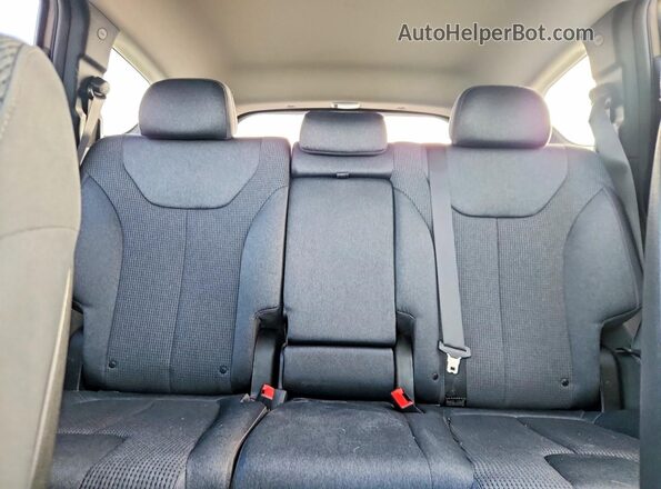 5NMS33AD6LH196176 2020 HYUNDAI SANTA Gold Rear seats view
