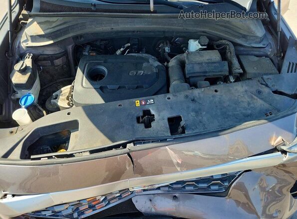 5NMS33ADXLH189182 2020 HYUNDAI SANTA Brown უკანა სალონის ხედი