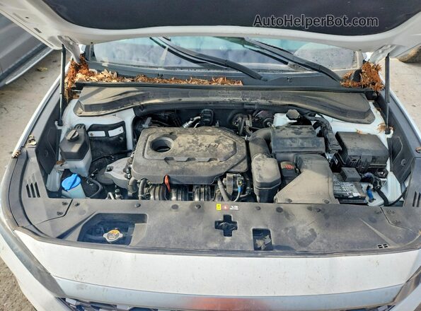 5NMS33ADXLH204456 2020 HYUNDAI SANTA White Vista interior trasera