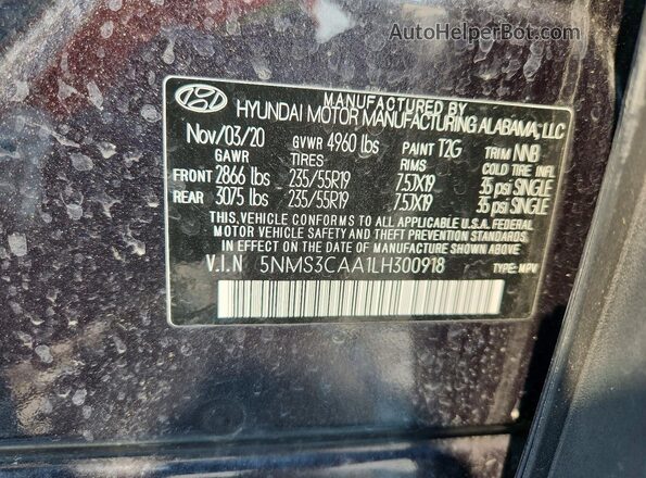 5NMS3CAA1LH300918 2020 HYUNDAI SANTA Gray Widok naklejki z numerem VIN