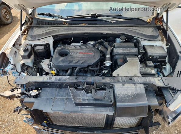 5NMS3CAA3LH239488 2020 HYUNDAI SANTA White Engine compartment view