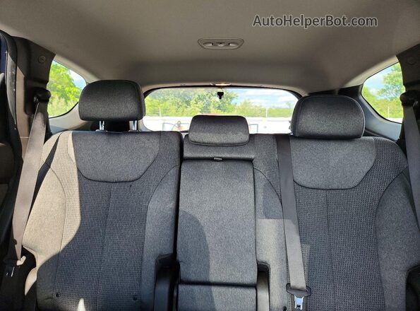 5NMS3CAD8LH241831 2020 HYUNDAI SANTA Blue Widok tylnych siedzeń