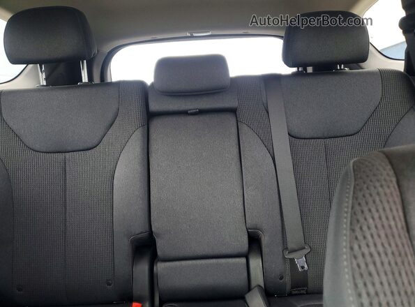 5NMS3CAD9LH144170 2020 HYUNDAI SANTA Blue Rear seats view