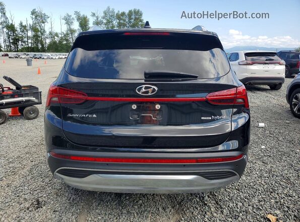 5NMS3DA10PH019348 2023 HYUNDAI SANTA Black Вид ззаду