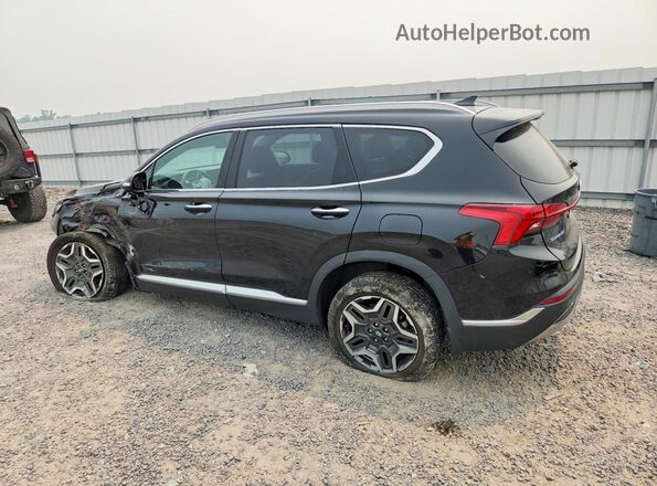 5NMS3DA12PH021604 2023 HYUNDAI SANTA Black Trasero izquierdo
