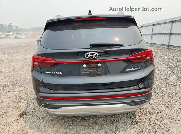 5NMS3DA12PH021604 2023 HYUNDAI SANTA Black Vista trasera