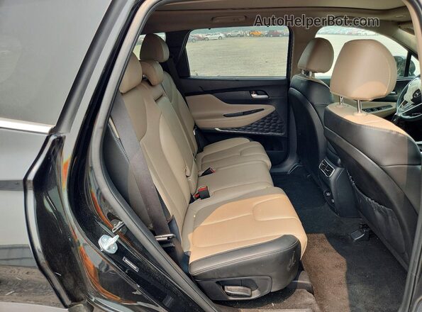 5NMS3DA12PH021604 2023 HYUNDAI SANTA Black Vista interior trasera