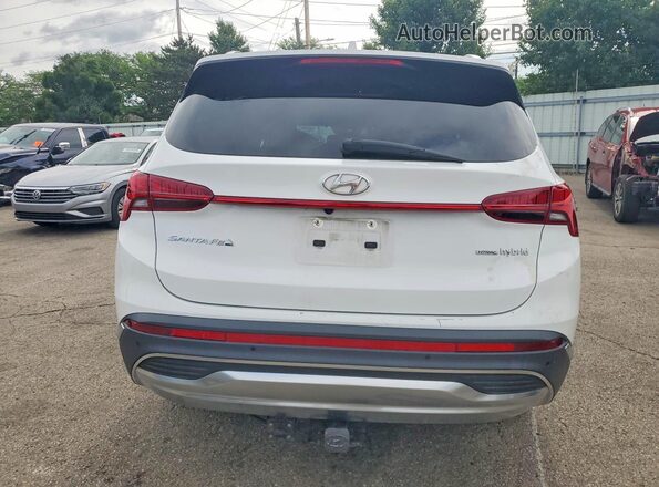 5NMS3DA16PH005972 2023 HYUNDAI SANTA White Вид ззаду