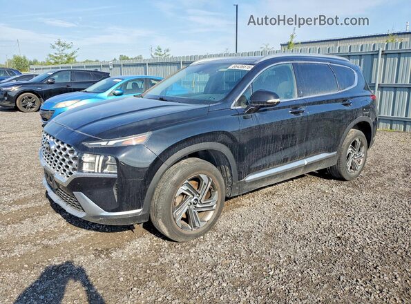 5NMS3DAJ0MH335988 2021 HYUNDAI SANTA Black უკანა მარცხენა