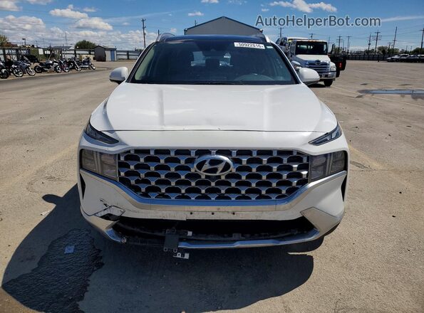 5NMS3DAJ0PH566457 2023 HYUNDAI SANTA Белый Вид спереди