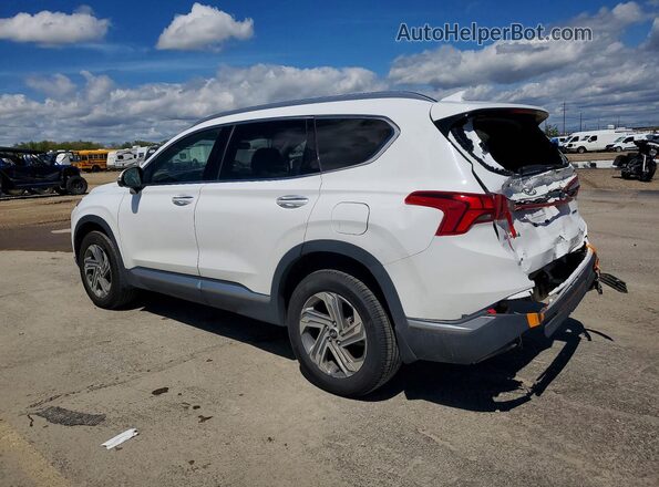 5NMS3DAJ0PH566457 2023 HYUNDAI SANTA Белый Задняя левая четверть