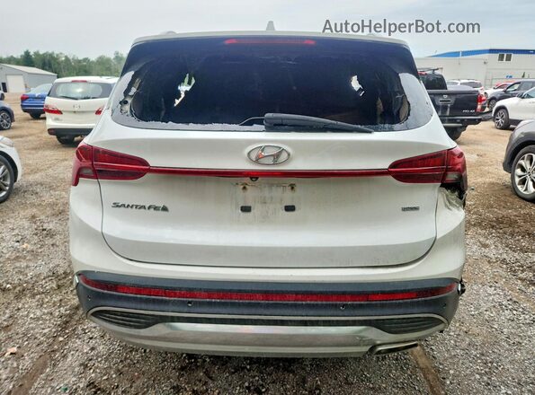 5NMS3DAJ6MH323733 2021 HYUNDAI SANTA White Rear view
