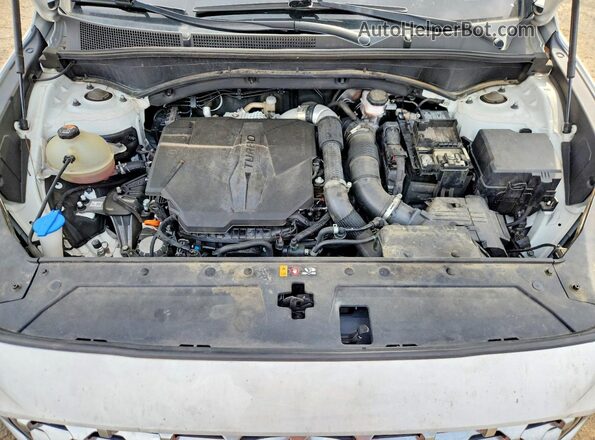 5NMS4DAL2PH532647 2023 HYUNDAI SANTA White Engine compartment view