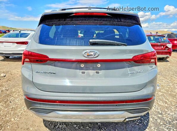 5NMS4DAL6MH370503 2021 HYUNDAI SANTA Серый Вид сзади