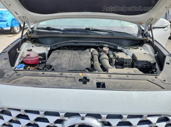 5NMS4DAL9NH392464 2022 HYUNDAI SANTA Белый Вид задней части салона