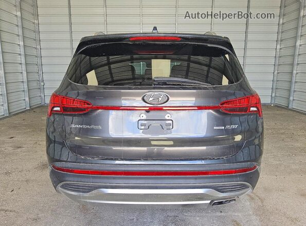 5NMS4DAL9PH571848 2023 HYUNDAI SANTA Black Vista trasera