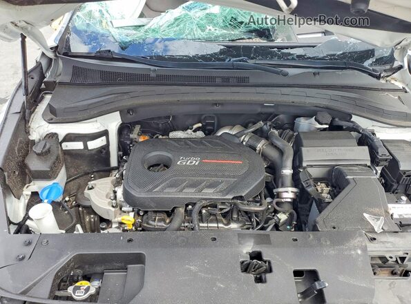 5NMS53AA4KH117344 2019 HYUNDAI SANTA White Widok komory silnika