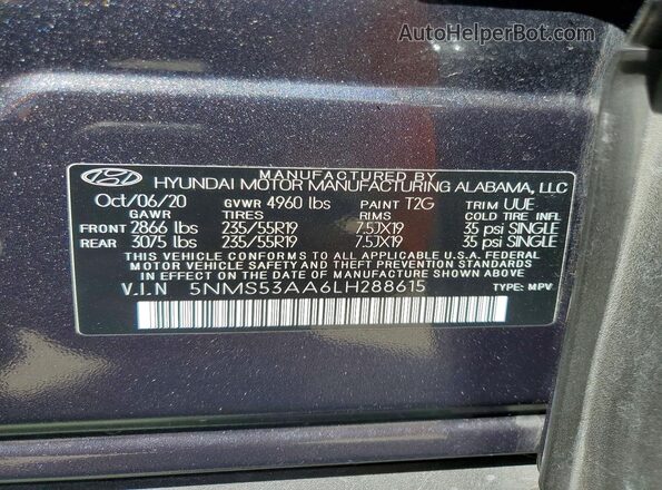 5NMS53AA6LH288615 2020 HYUNDAI SANTA Gray Vista de la etiqueta del VIN
