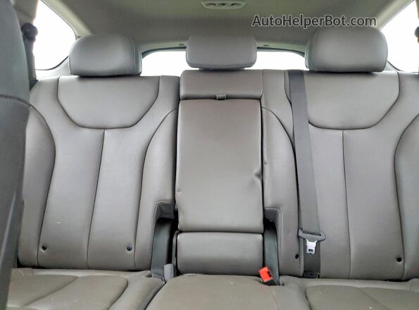 5NMS53AA7KH106399 2019 HYUNDAI SANTA Blue Հետևի նստատեղերի տեսք