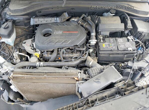 5NMS53AAXLH289539 2020 HYUNDAI SANTA Угольный Вид подкапотного пространства
