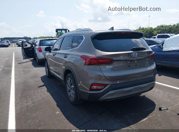 5NMS53AD6LH269380 2020 HYUNDAI SANTA FE Brown Tył lewy
