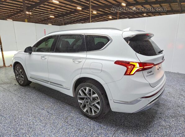 5NMS54AL7PH489081 2023 HYUNDAI SANTA Белый Задняя левая четверть