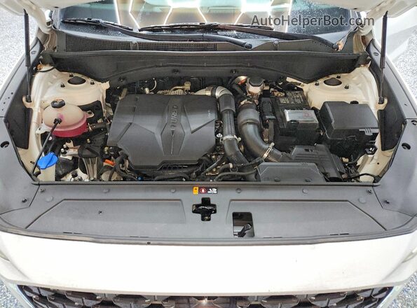 5NMS54AL7PH489081 2023 HYUNDAI SANTA Белый Вид подкапотного пространства