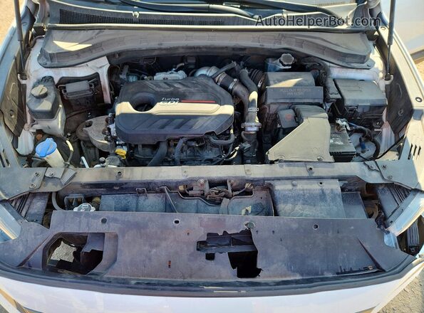 5NMS5CAA6LH201196 2020 HYUNDAI SANTA White Widok komory silnika