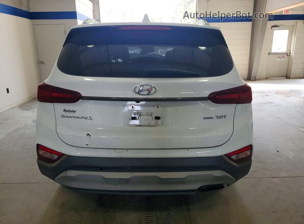 5NMS5CAA7LH299753 2020 HYUNDAI SANTA White უკანა ხედი