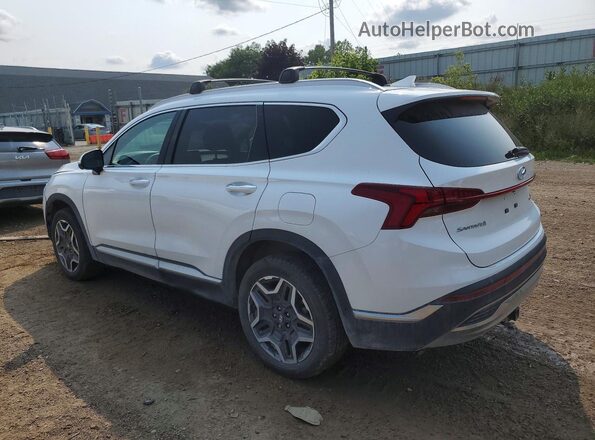 5NMS5DA14PH002997 2023 HYUNDAI SANTA White Задня ліва чверть