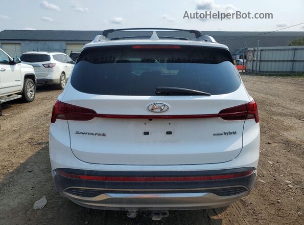5NMS5DA14PH002997 2023 HYUNDAI SANTA White Вид ззаду