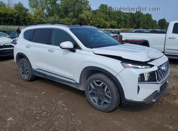 5NMS5DA14PH002997 2023 HYUNDAI SANTA White Передня права чверть