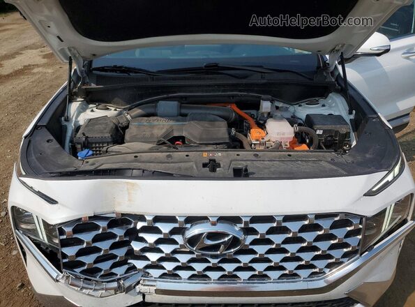 5NMS5DA14PH002997 2023 HYUNDAI SANTA White Вид підкапотного простору