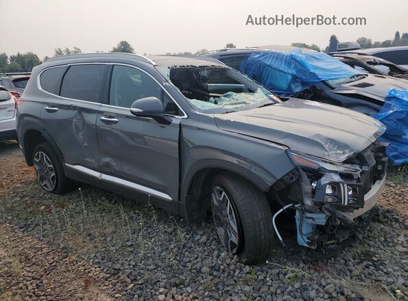 5NMS5DA16PH020367 2023 HYUNDAI SANTA Gray წინა მარჯვენა
