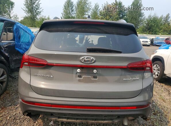 5NMS5DA16PH020367 2023 HYUNDAI SANTA Gray უკანა ხედი