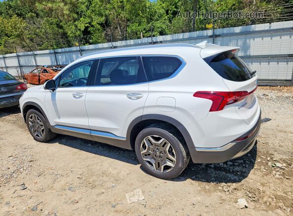 5NMS5DA17PH005134 2023 HYUNDAI SANTA White Trasero izquierdo