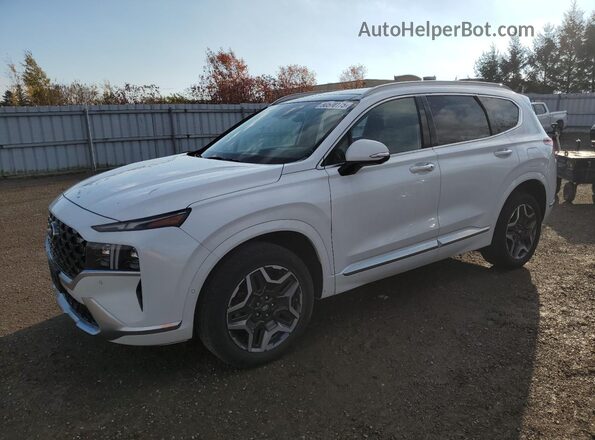 5NMS5DAL0MH334433 2021 HYUNDAI SANTA White Tył lewy