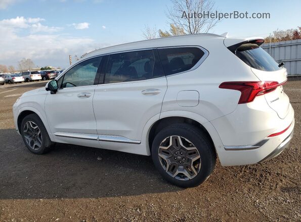 5NMS5DAL0MH334433 2021 HYUNDAI SANTA White Przód prawy