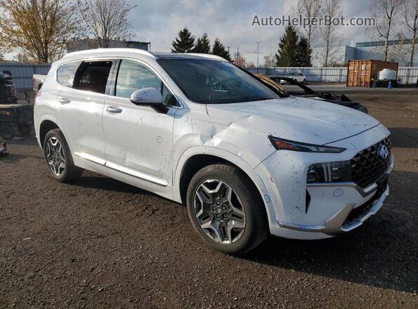 5NMS5DAL0MH334433 2021 HYUNDAI SANTA White Widok tylnych siedzeń