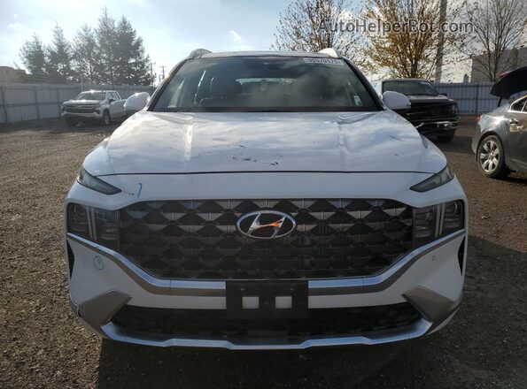 5NMS5DAL0MH334433 2021 HYUNDAI SANTA White Widok komory silnika