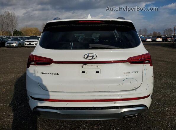 5NMS5DAL0MH334433 2021 HYUNDAI SANTA White Widok wnętrza 360 stopni