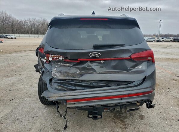 5NMS5DAL9MH323298 2021 HYUNDAI SANTA Black Rear view