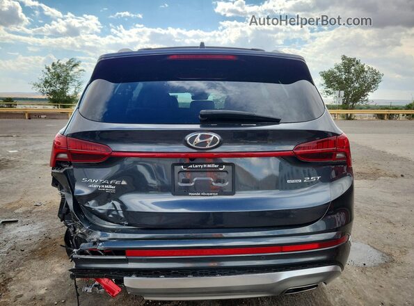 5NMS5DALXPH652239 2023 HYUNDAI SANTA Charcoal Հետևի տեսք
