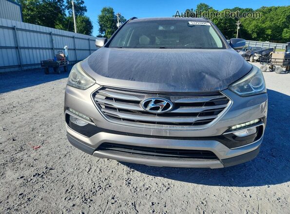 5NMZU3LB7HH018016 2017 HYUNDAI SANTA Gray Vista frontal