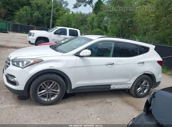 5NMZU3LB7HH020946 2017 HYUNDAI SANTA FE SPORT Белый Панорамный вид салона 360°