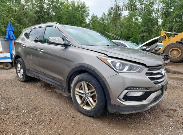 5NMZUDLB8HH043254 2017 HYUNDAI SANTA Brown Delantero derecho