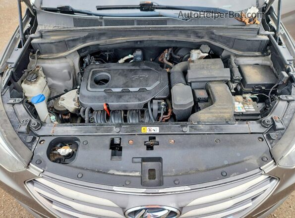 5NMZUDLB8HH043254 2017 HYUNDAI SANTA Brown Vista del compartimento del motor