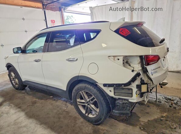 5NMZUDLBXHH013950 2017 HYUNDAI SANTA White Задня ліва чверть